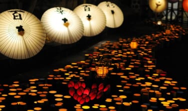 冬の風物詩　山鹿「百華百彩」と「ふたつ星4047」【3日間】