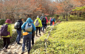 【帰着レポート】大台ヶ原ハイキングと黄金の曽爾高原の旅【4日間】