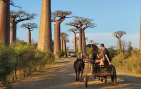 【帰国レポート】サザンクロス街道とマダガスカルバス周遊2100キロの旅　12日間