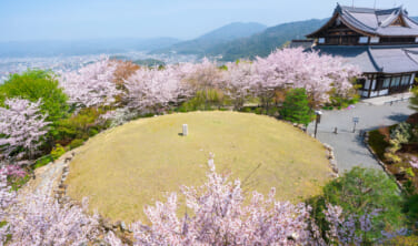 京都トレイル東山コースと春の京都の旅【3日間】