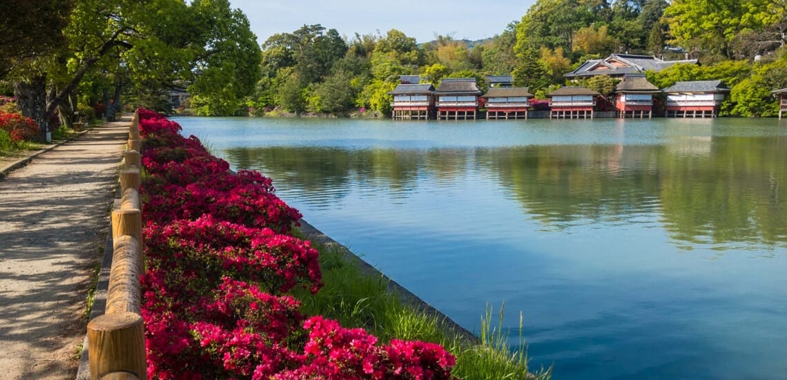 錦水亭の筍料理と宇治茶の故郷の旅【3日間】