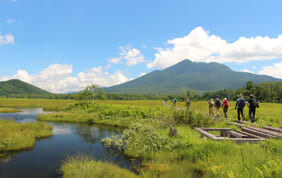 爽涼の夏旅