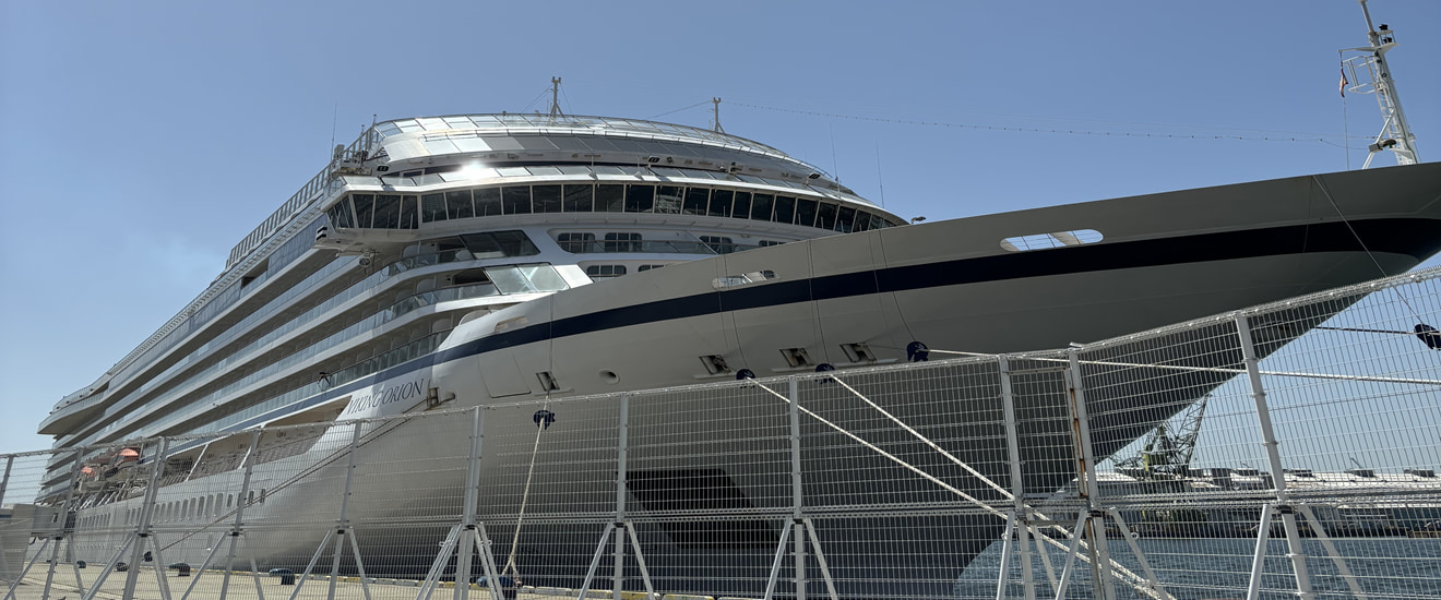 銀製バイキング船型容器とスプーン 銀製バイキング船型容器とスプーン 中華スプーン プレーン シルバー