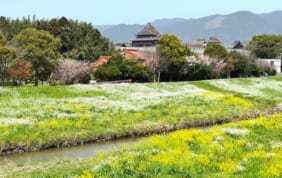 【帰着レポート】九州北部の古代史跡と吉野ヶ里遺跡の旅　