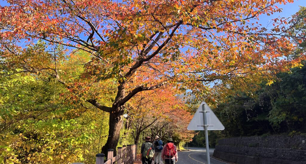【関空・福岡発】錦秋の南韓国紀行【5日間】