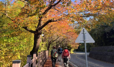 【関空・福岡発】錦秋の南韓国紀行【5日間】
