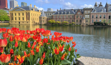 【帰国レポート】花のオランダ・ベルギーの旅　