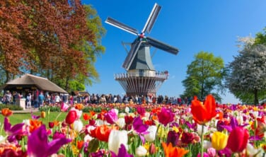 【2025ゴールデンウィーク】オランダ・ベルギー古都の旅【8日間】