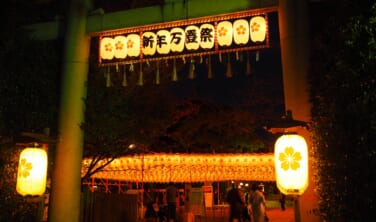「姫路の年越し」ゆく年くる年【4日間】