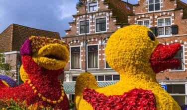 世界最大級の花パレードとオランダ・ベルギーの旅【10日間】