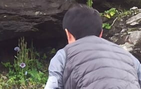 【帰国レポート】花のロータン峠とダラムサラの旅 10日間