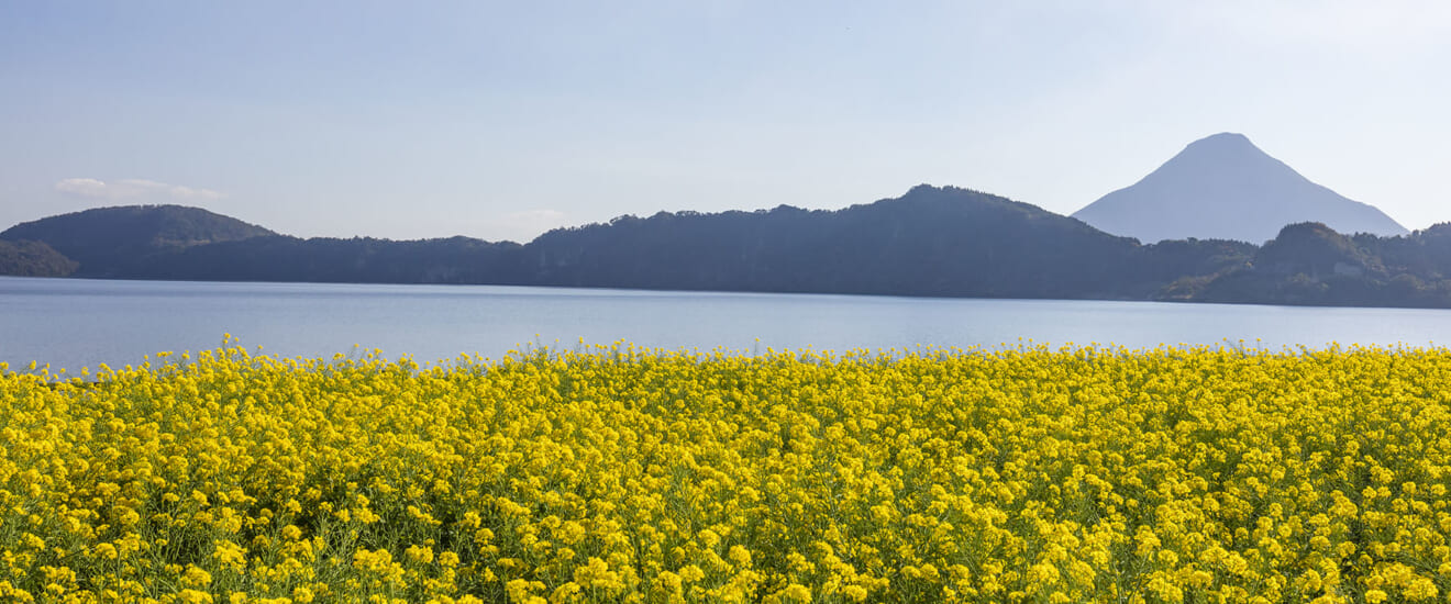 屋久島・種子島と菜の花の指宿の旅【5日間】