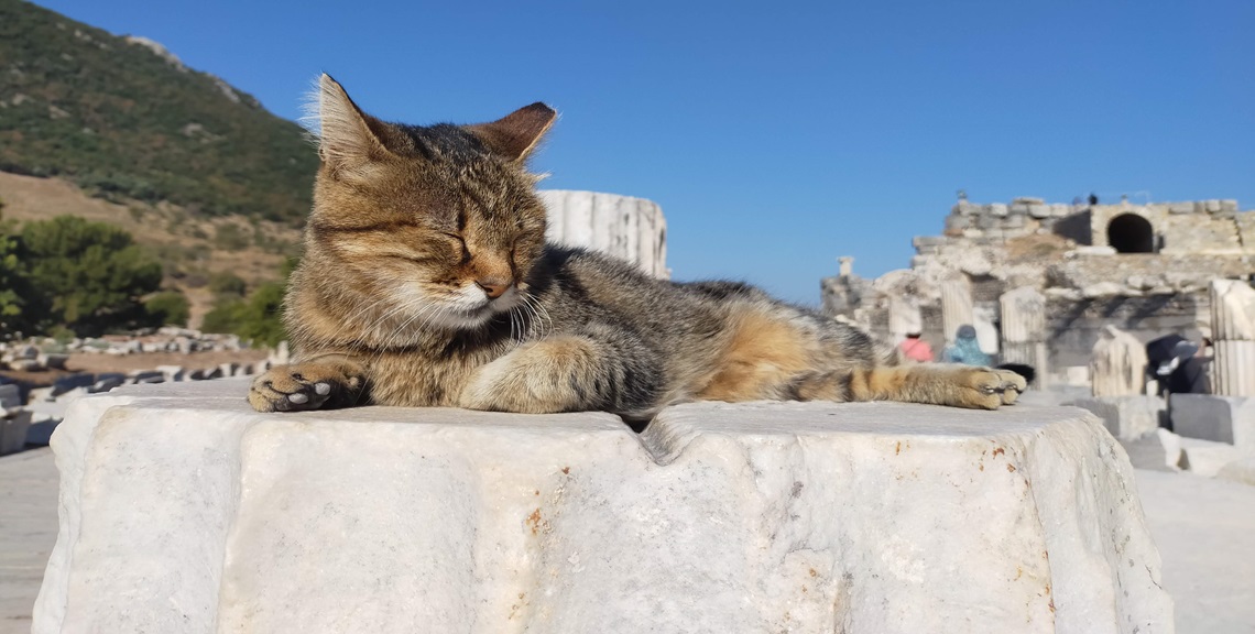 銅製 ハンドカットランプ 高さ約140cm 中東 ペルシャ・イスラム