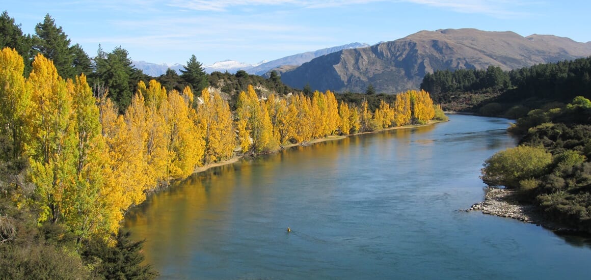 秋の黄葉を楽しむ ニュージーランド南島満喫の旅【9日間】