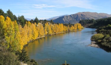秋の黄葉を楽しむ ニュージーランド南島満喫の旅【9日間】