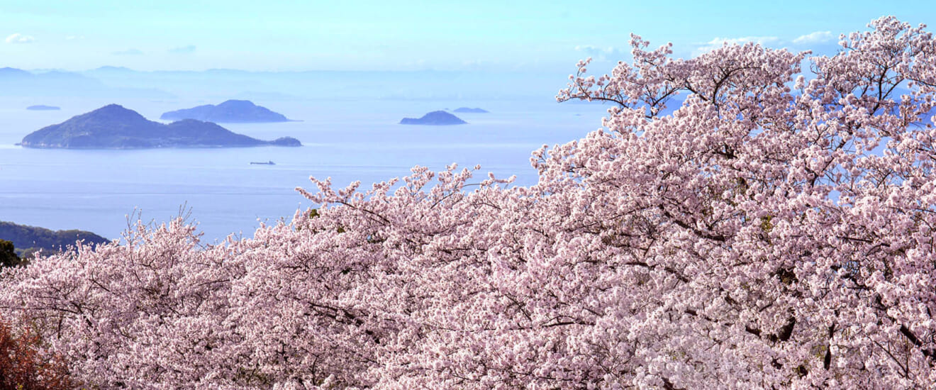紫雲出山幻想としまなみ海道の旅【4日間】