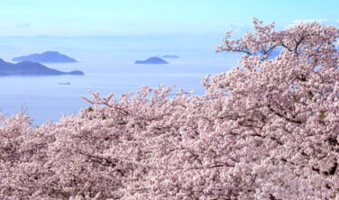 紫雲出山幻想としまなみ海道の旅【4日間】
