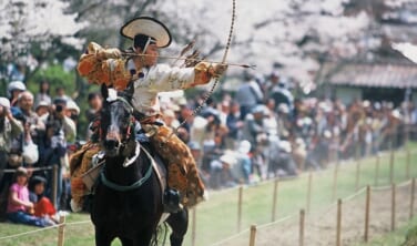 【新岩国駅発】美しき日本の春景色　津和野の流鏑馬神事と錦帯橋・萩の桜【3日間】