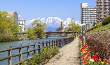 みちのく盛岡と平泉の旅【4日間】