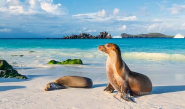 驚異の大自然ガラパゴス諸島とエクアドルの旅【11日間】