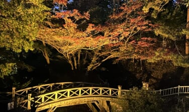 湯の川の老舗「割烹旅館 若松」と秋の道南 食の旅 【3日間】