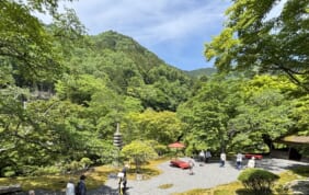 【帰着レポート】庭園案内人と巡る 知られざる初夏の京都庭園めぐり
