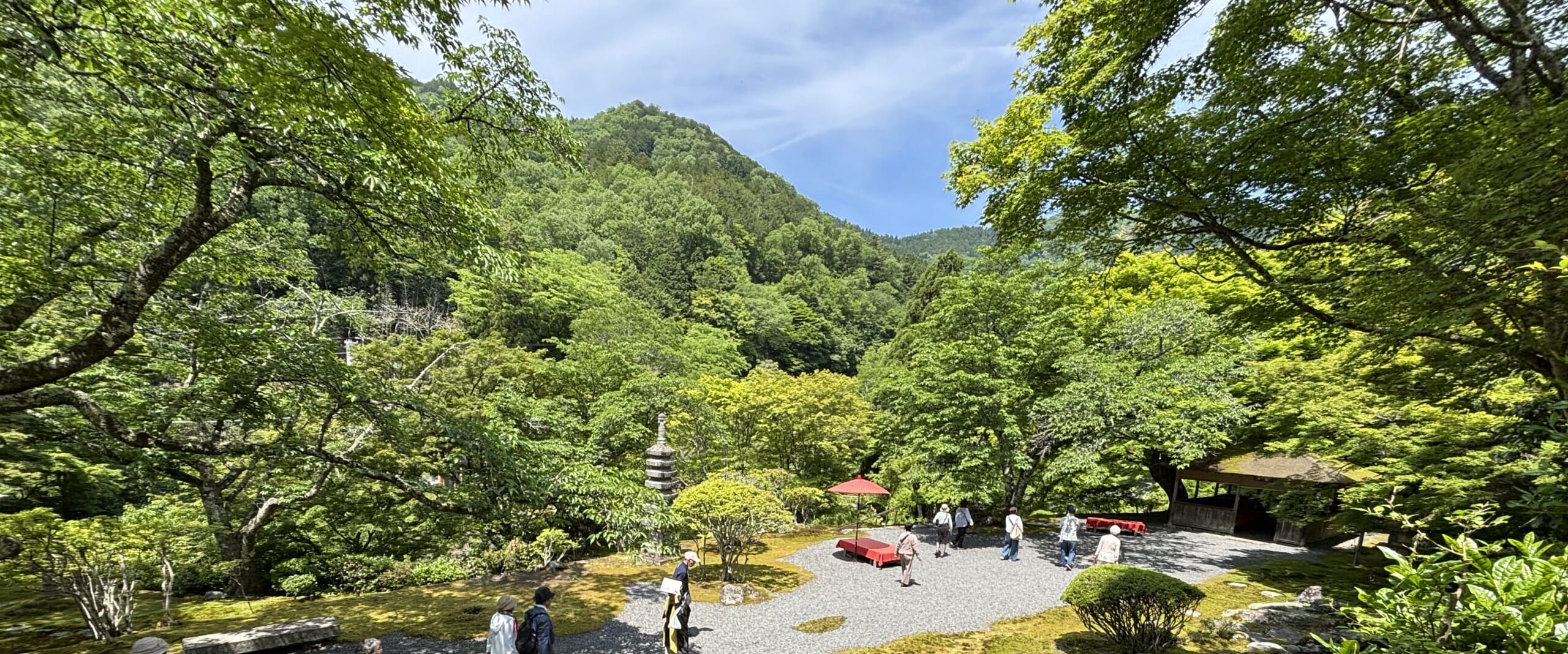 帰着レポート】庭園案内人と巡る 知られざる初夏の京都庭園めぐり | 旅 