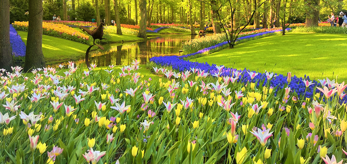 帰国レポート】オランダ・ベルギー古都の旅 | 旅のひろば | ワールド