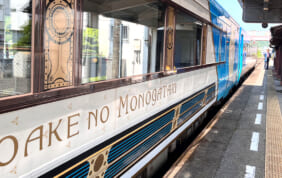 【帰着レポート】3つのものがたり列車で巡る四国周遊の旅　4日間