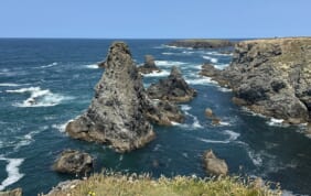 【帰国レポート】ブルターニュの神秘　11日間　