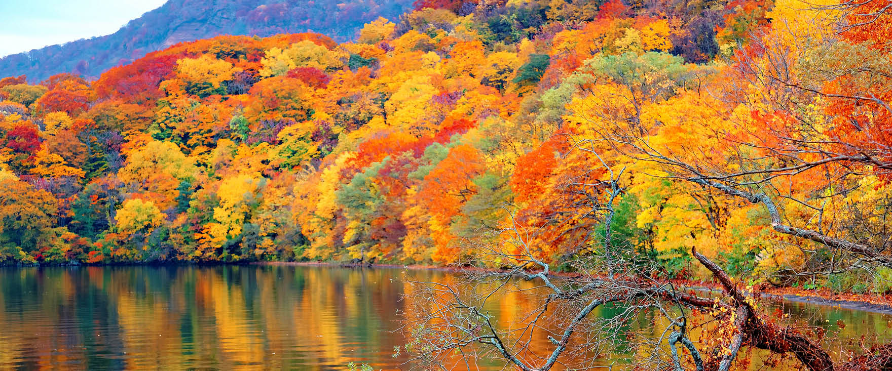 828831557f4a2e1078c451a4b2a8d2