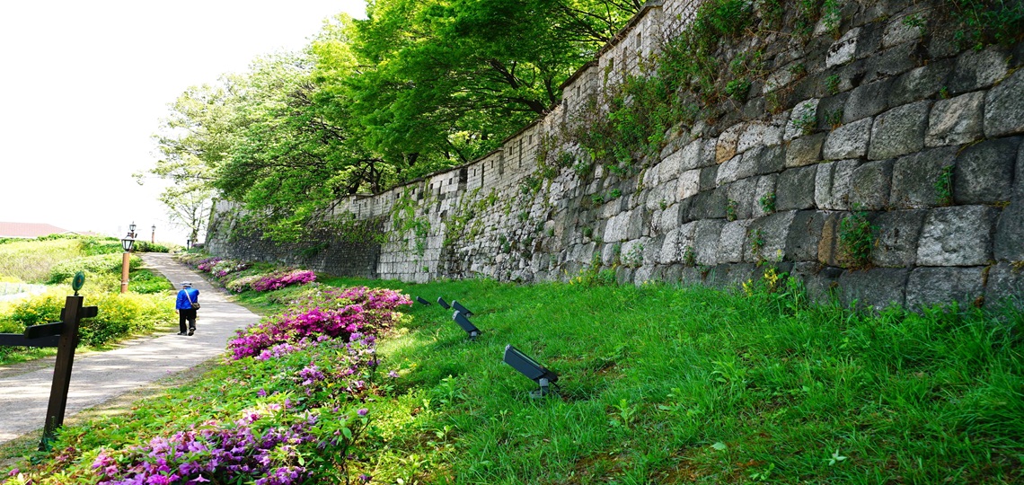 【神戸・福岡・中部発】春の韓国・城郭トレイルと歴史文化散策【5日間】