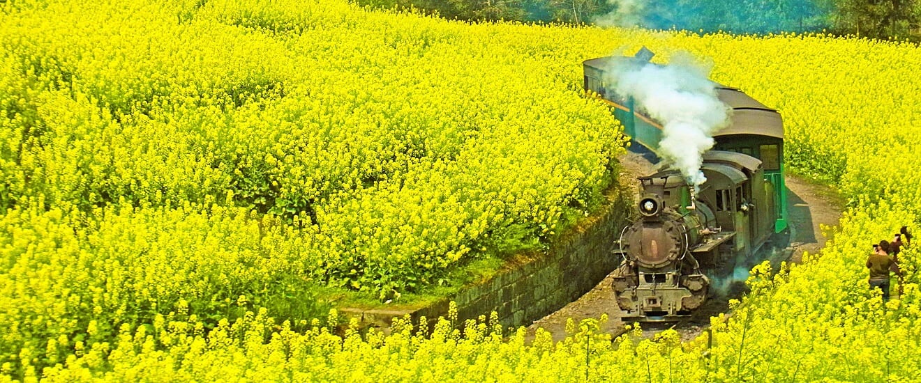 【成田・関空発】芭石鉄道・菜の花畑SLと花咲く里へ　四川省春の旅【9日間】