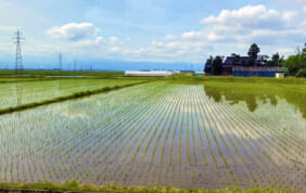 【帰着レポート】憧れの山形座「瀧波」と食の都・庄内を訪ねる