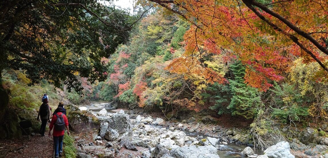 京都トレイル人気コースと秋の京都の旅【3日間】