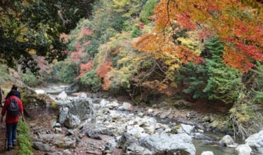 京都トレイル人気コースと秋の京都の旅【3日間】