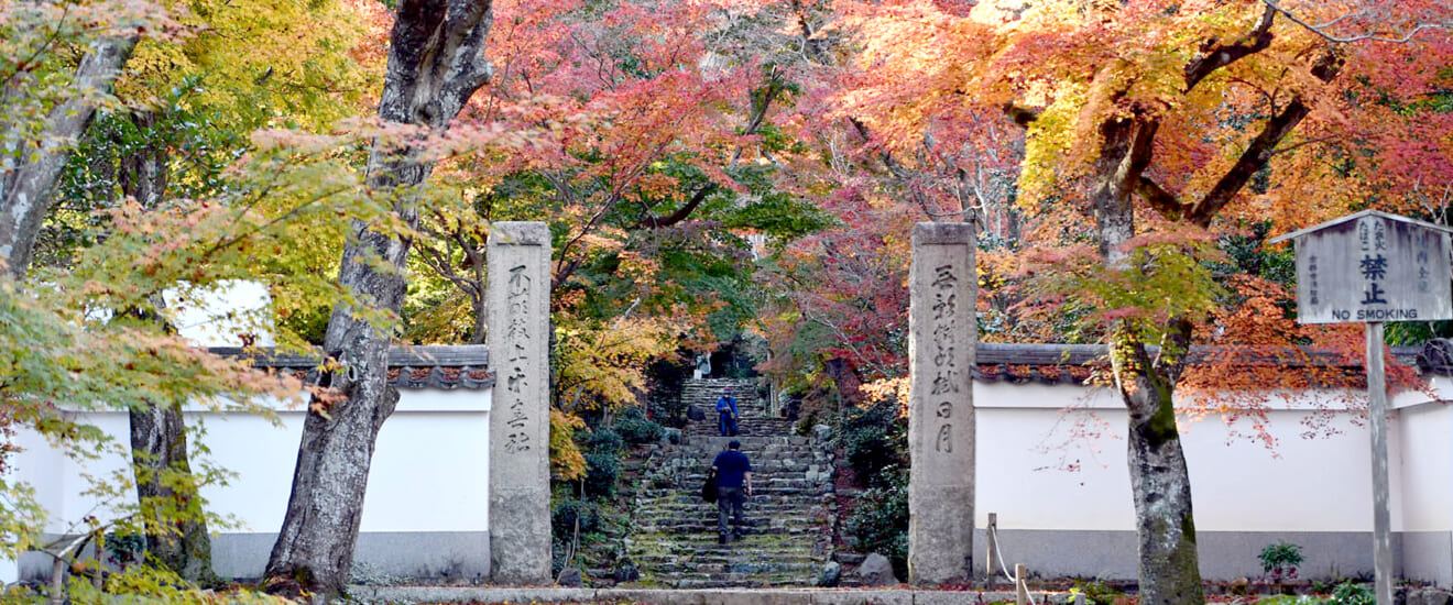 庭園案内人と旅する　秋の京都庭園めぐり【3日間】