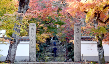 庭園案内人と旅する　秋の京都庭園めぐり【3日間】