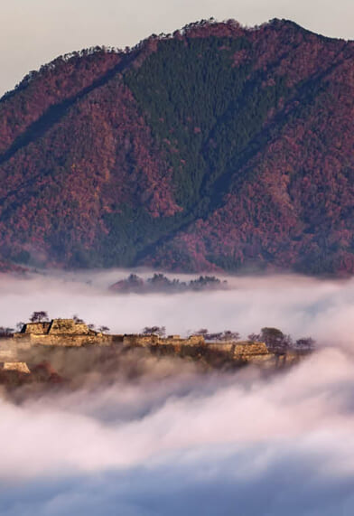 2025年9月〜12月出発　秋から冬のツアーパンフレット「日本旅百景」ができました。