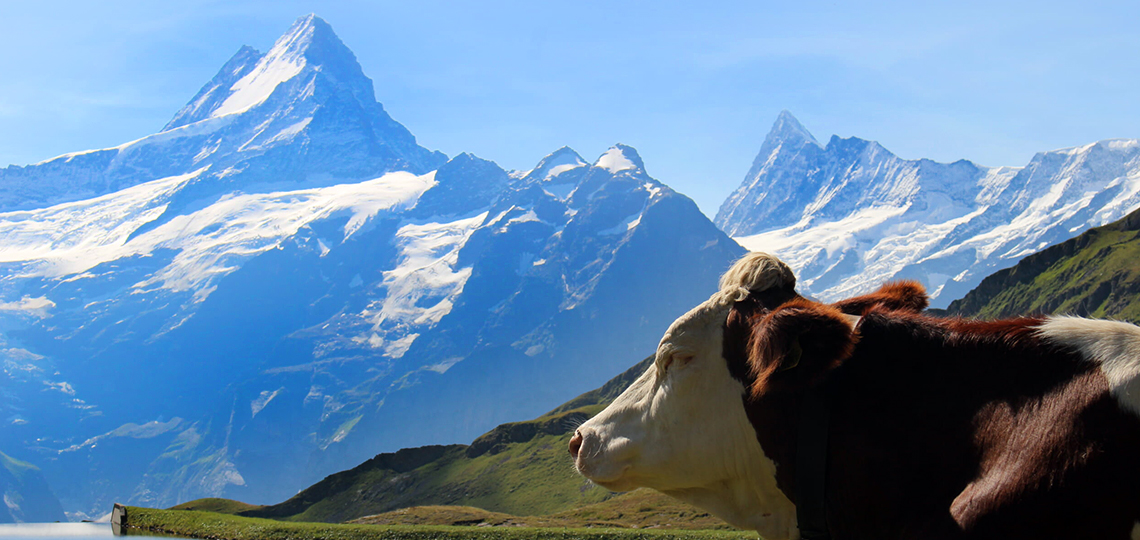 帰国レポート】グリンデルワルト滞在と古都ベルンの旅 | 旅のひろば