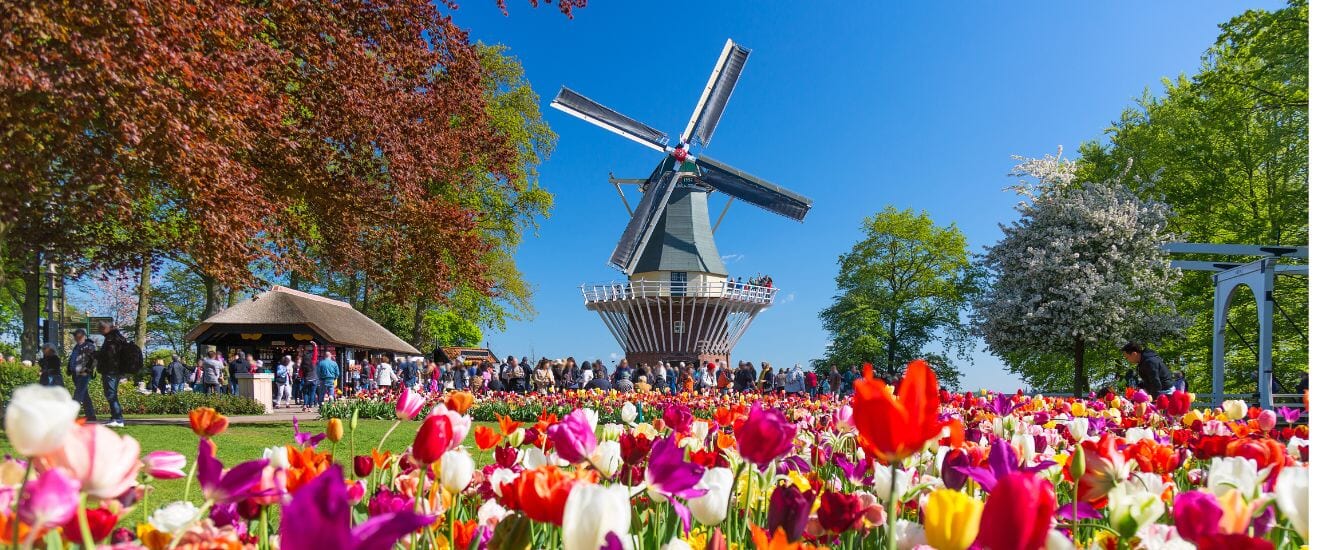 【関空・福岡発】春のオランダ・ベルギーとライン川クルーズの旅【関空発12日間、福岡発13日間】