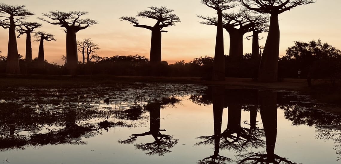 【関空発】不思議の国マダガスカルと美しき楽園セーシェルの旅【10日間】