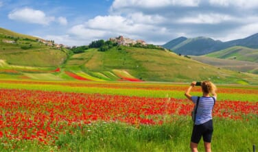 カステルッチョの花畑とトスカーナ・ウンブリアの美しい村【10日間】