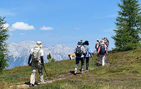 ウォーキング、ハイキングの旅