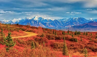 秋のアラスカ大自然と北極圏の旅【10日間】