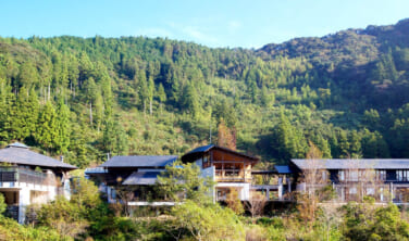 早春の高知とオーベルジュ土佐山の旅【4日間】