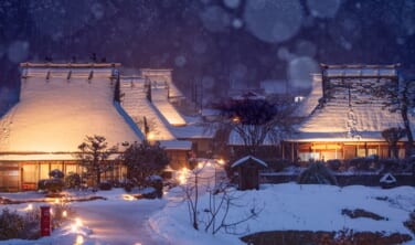 みやま冬灯廊と老舗の味【2日間】