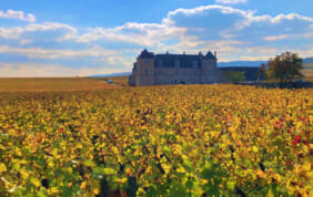 【帰国レポート】ブルゴーニュ地方の栄華と古都ディジョンの旅】