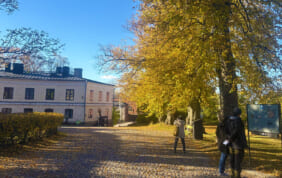 秋色のラップランドと北極圏オーロラチャンスの旅　9日間