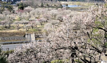 水戸の梅まつりと笠間・益子の旅【3日間】
